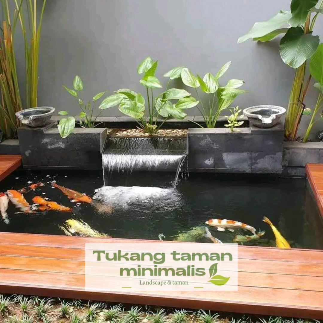 Tukang Kolam Ikan Koi - Jasa Pembuatan Kolam Ikan Koi