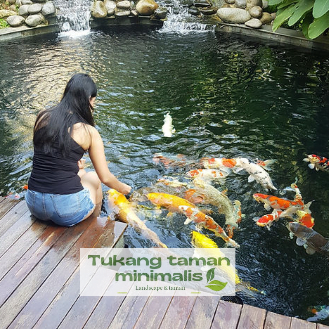 Tukang Kolam Koi - Jasa Pembuatan Kolam Ikan Koi