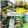Tukang Taman Bogor