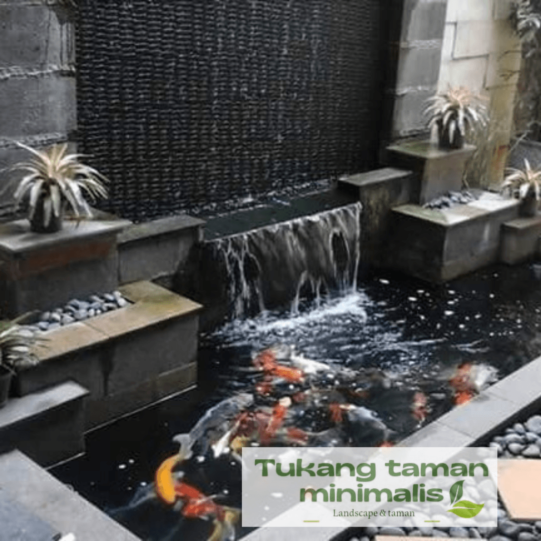 Kolam Ikan Koi Dengan Air Terjun Dinding