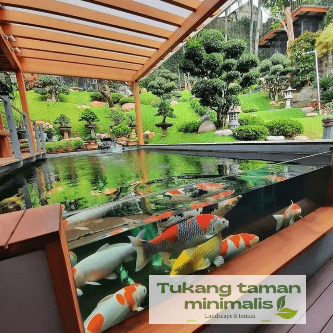 Kolam Ikan Koi Dengan Kaca Temper