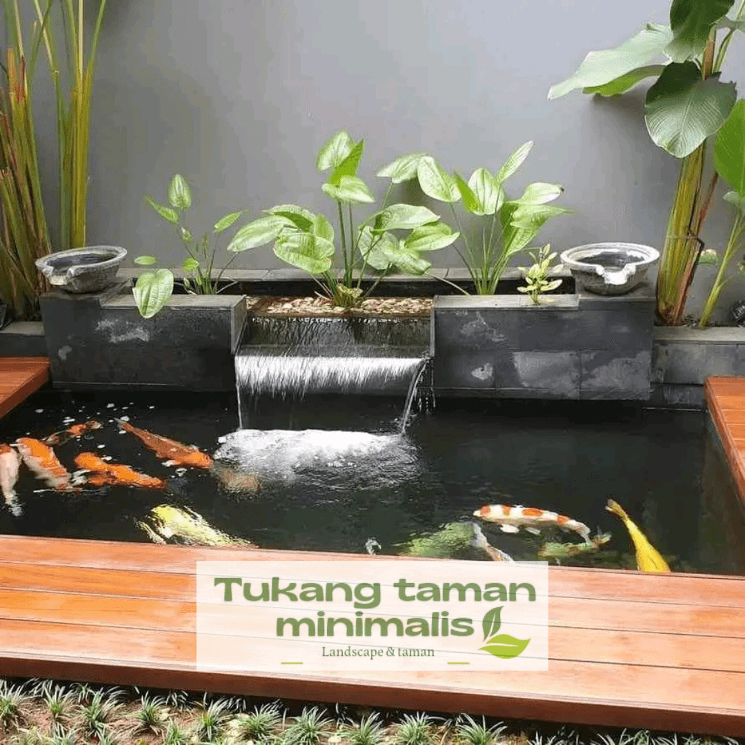 Kolam Ikan Koi Indoor