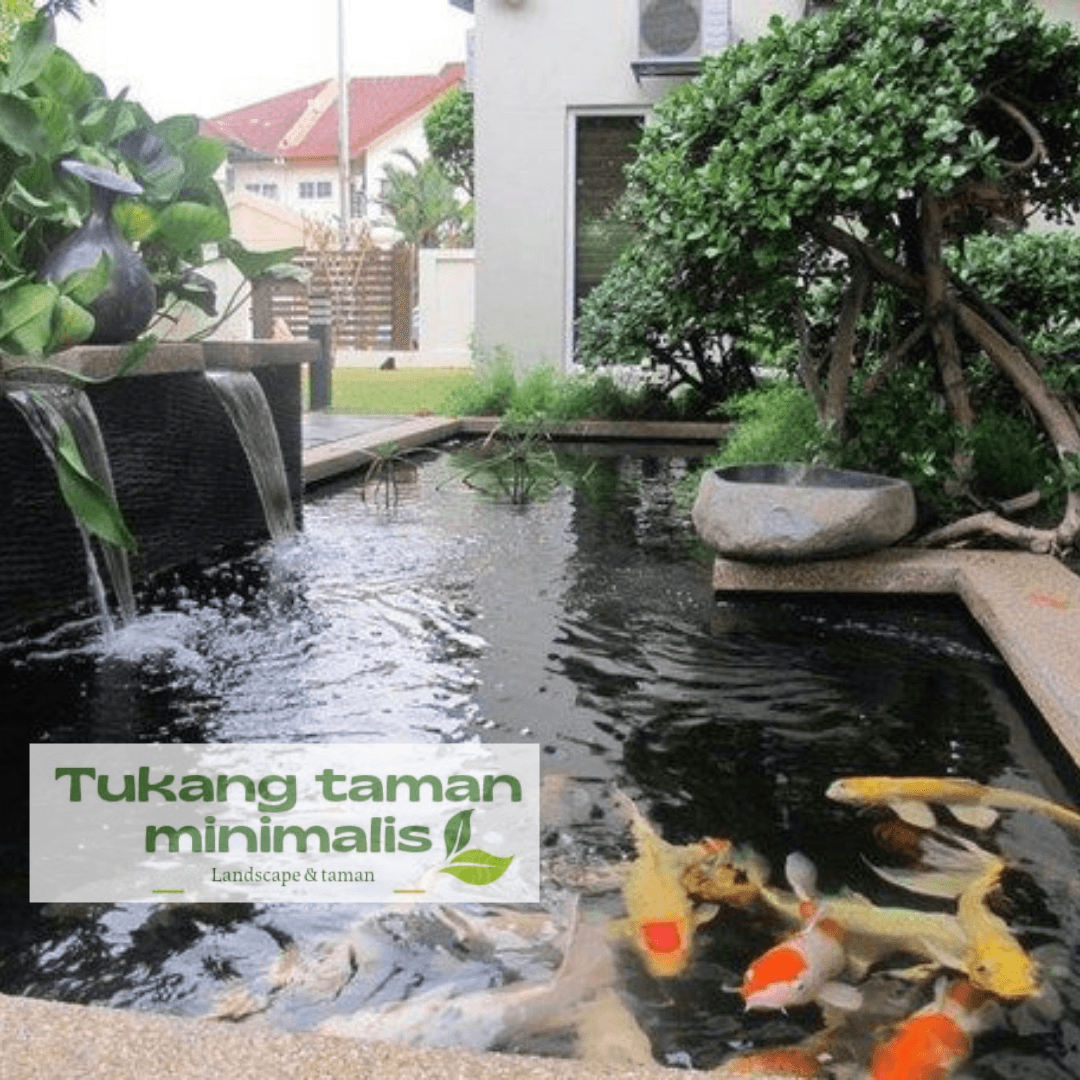 Kolam Koi Minimalis Modern
