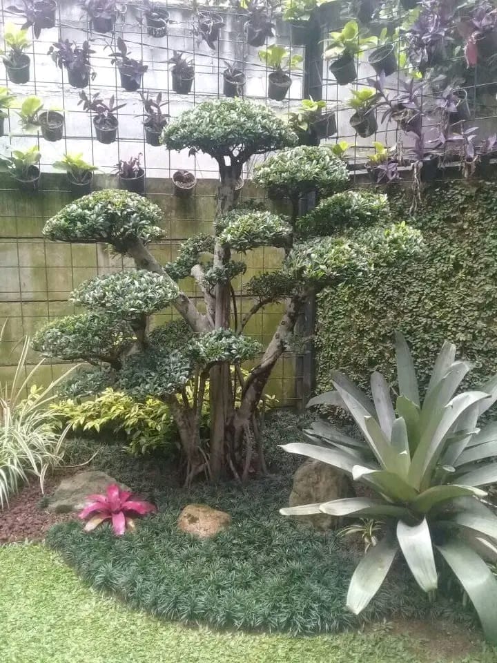 Tukang Taman Cilandak