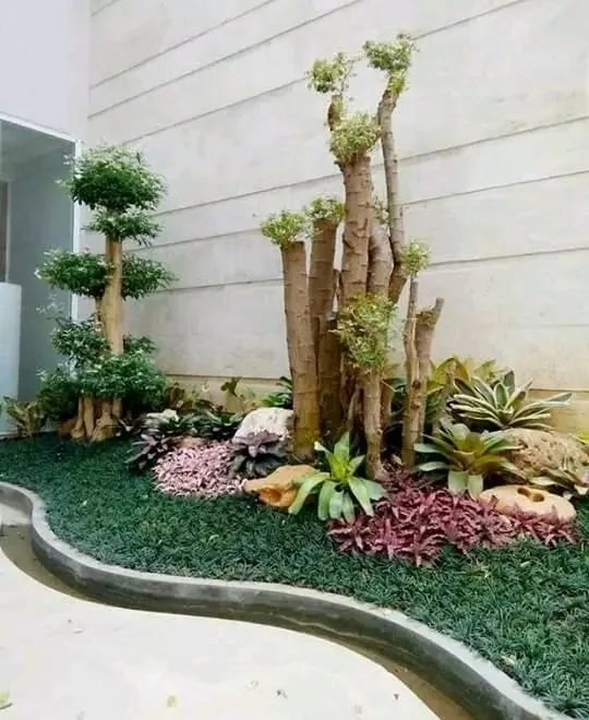 finising taman minimalis Rumah