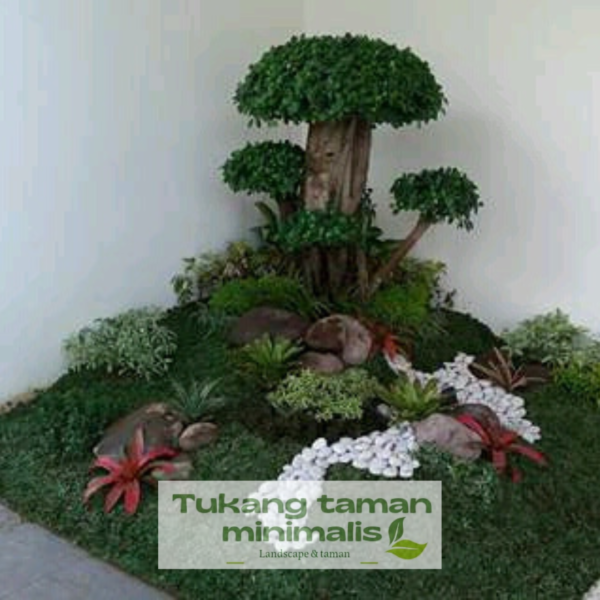 Tukang Taman Duren Sawit