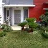 Tukang Taman Jagakarsa