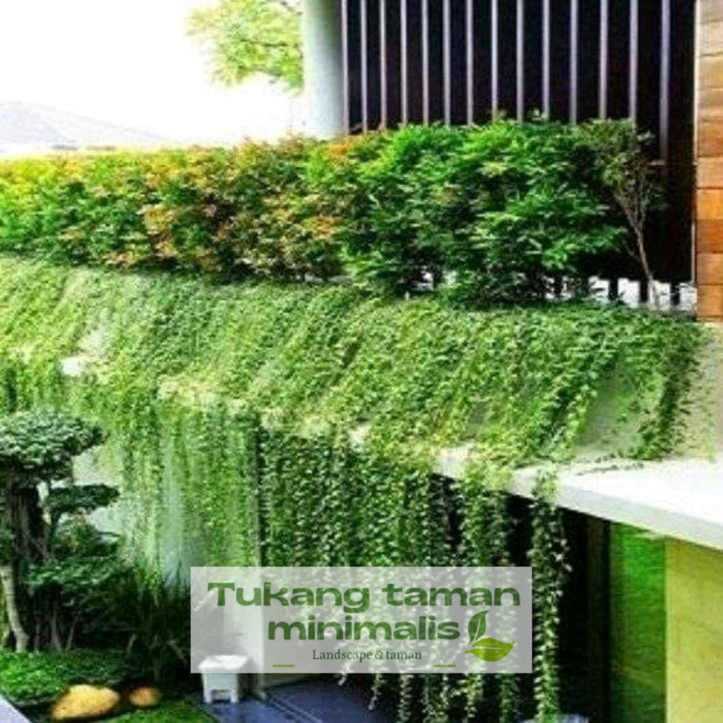 Tukang Taman Limo