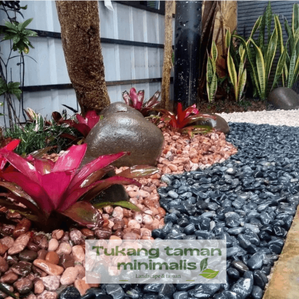 Tukang Taman Tanjung Priok