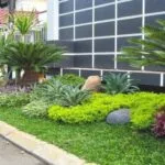 Tukang Taman Harapan Indah