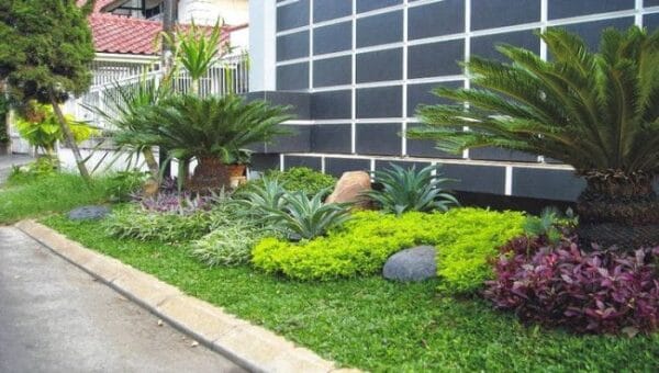 Tukang Taman Harapan Indah